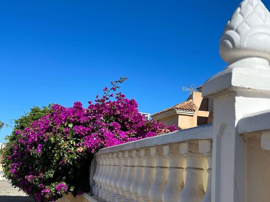Club Salino 18 Apartment Torrevieja Exterior photo